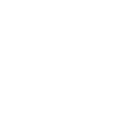 Logo_Ryru